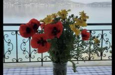 Sea view luxury apartment - Foto 39