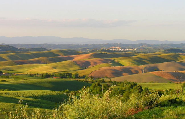 Farmhouse in Pisan Hills With Pool - Foto 36