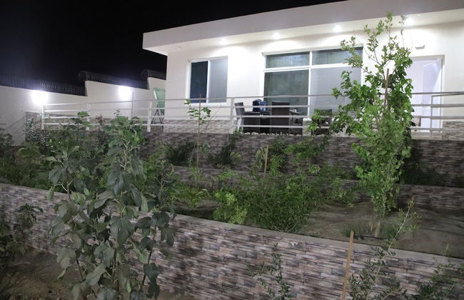 Alestiraha Elegant - Foto 30