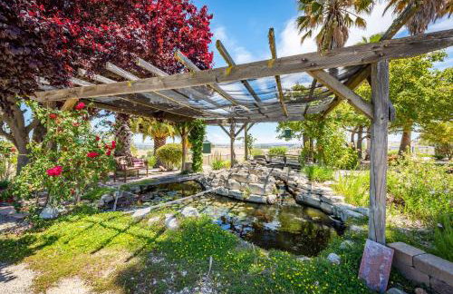 Hilltop Oasis - Foto 17