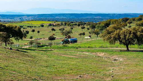 Moradia gémea 2 em Herdade Santa Marta - Foto 2