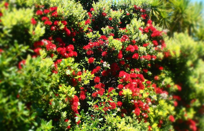 Out the Bay - Photo 28