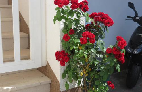 Apartments Ljube - Foto 42