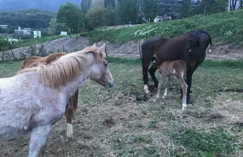 Gîtes Belle Vue - Photo 45