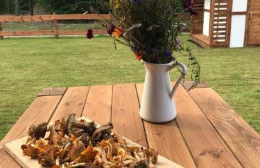 Ostoja Bukowo, Domek 9,1 'Stilia' - Foto 7