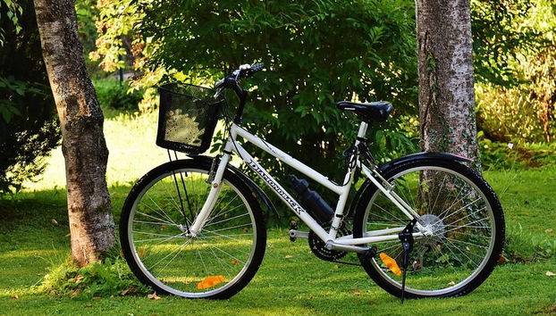 East Bank of Louxor à vélo - Photo 4