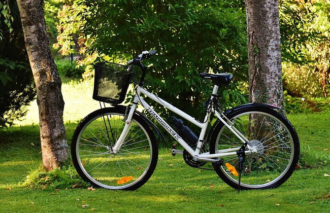 East Bank of Luxor en bicicleta - Foto 4