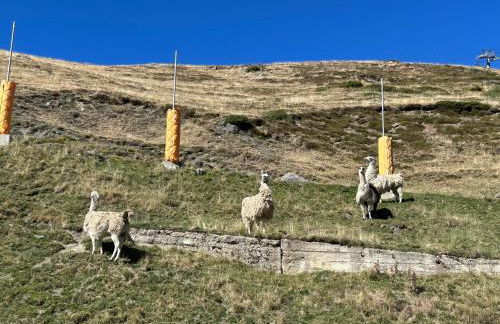 Studio Les CIMES au pied des pistes - Foto 7