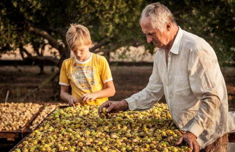 Villa Šolo - Foto 25