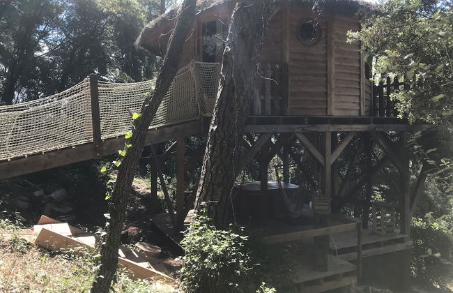 Domaine de la Tuilière - Foto 7