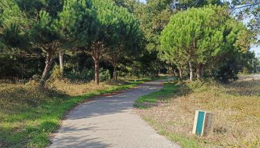 Boho Beach Apartment - Foto 3