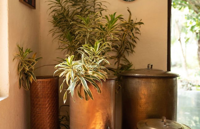 Amã Stays & Trails Asanji Wadi - Foto 28