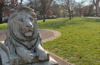 Fishtail House - Stylish Apartments minutes from the sea - Foto 26