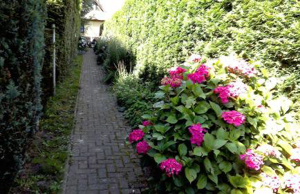 Ferienwohnung Otto - Foto 28