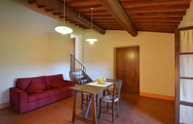 azienda agricola lo zolfino - Foto 44