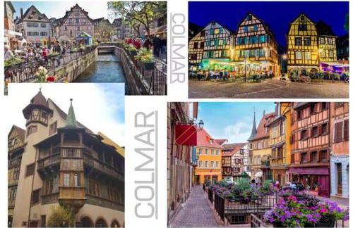 L'adresse Colmarienne - RDC - Terrasse - Garage - Foto 39