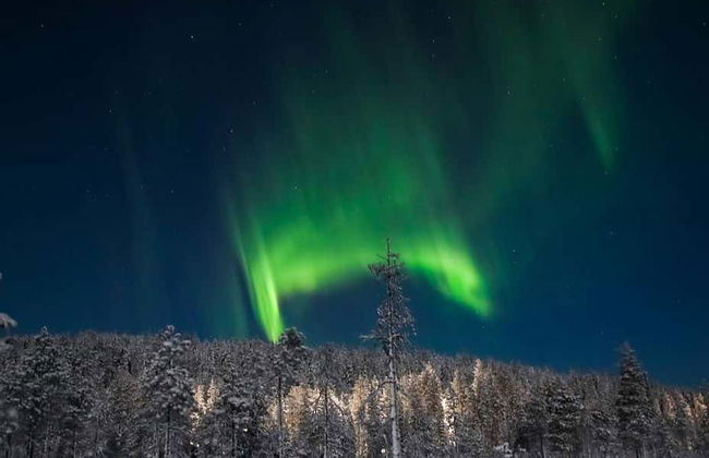 Tour dell'aurora boreale con racchette da neve - Foto 2