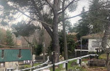 Finca 13 Ramas - Photo 16