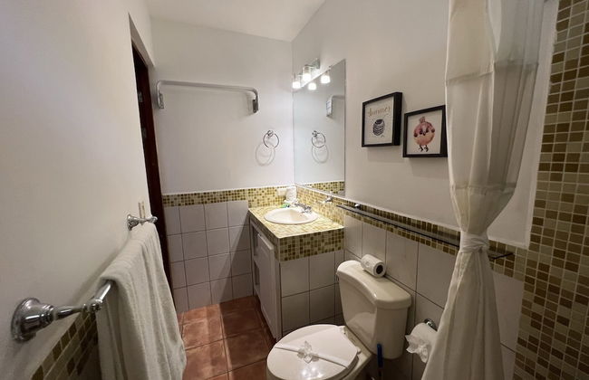 Tropical Gardens - Foto 71