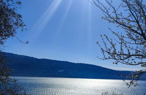 Agriturismo L'Uliveto - Foto 22