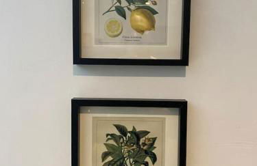 Clifton Georgian Townhouse, Downstairs Ensuite Room & Light Plant Based Breakfast - Foto 12