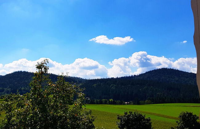 Haus Leutner Bodenmais - Photo 13