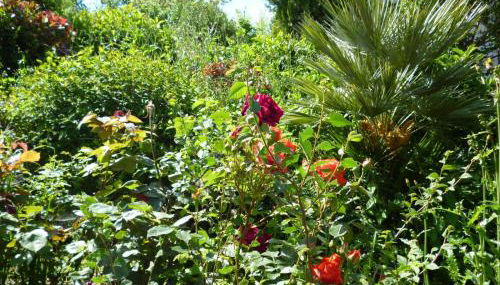 Agriturismo Vivace - Foto 3, Garden, Garden view