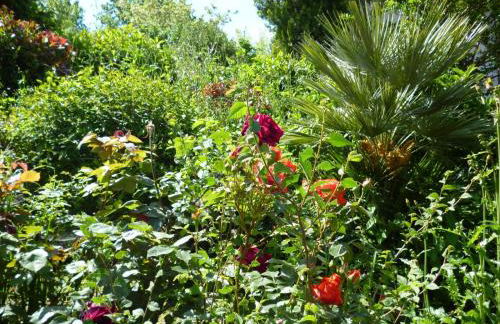 Agriturismo Vivace - Foto 3