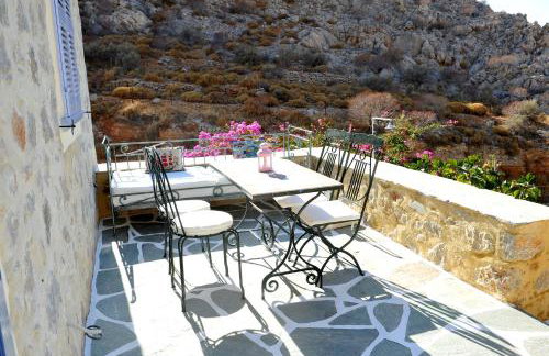 Hydra Erato - Foto 48