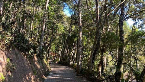 Amantikir Park Trail