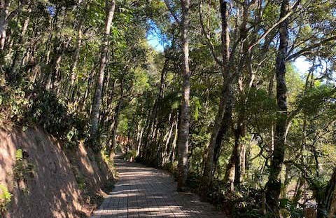 Amantikir Park Tour - Photo 3