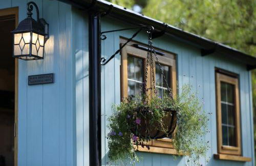 Upper Gelli Luxury Holiday Lodge, Converted Dairy & Cosy Shepherds Huts - Photo 58