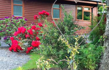 Willow Lodge Auchterarder - Photo 29