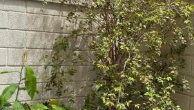 AP contemporâneo com toques industriais, com garden - Foto 2