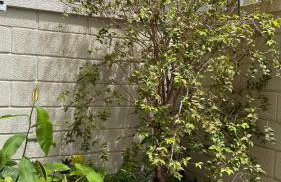 AP contemporâneo com toques industriais, com garden - Foto 2