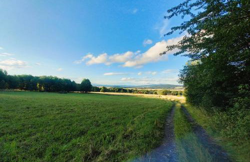 M&E Cztery pory roku Szklarka 25A - Foto 68
