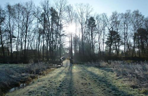 Adelheid Winkelmann - Photo 10