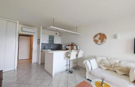 Superbe Pieds dans l eau ajaccio face à la mer plage de sable fin route des îles des sanguinaires - Foto 12