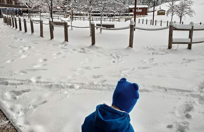 Superdevoluy545S - Photo 44