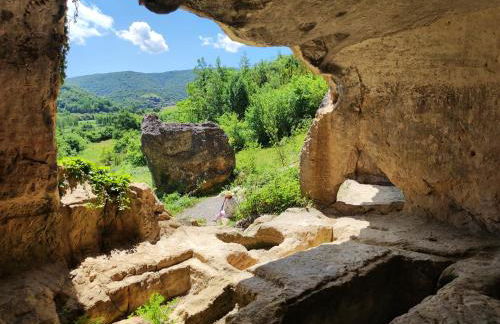 Suite Curry - Photo 11