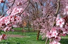 Shanti Ca' casa indipendente con giardino - Foto 24