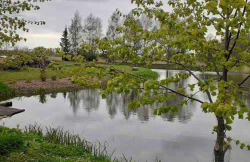 Beautiful holiday home in Masuria on river and lake - Foto 37