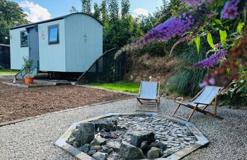 Harpers Huts - Zara - Foto 2