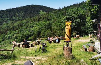 Klimatyczny apartament nr 8 z widokiem na góry Sowie - Foto 42