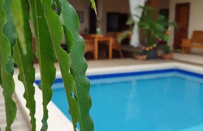 Amalia Apartments - Photo 30