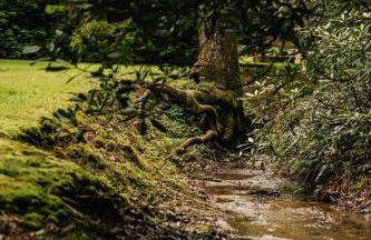 Special Offer Save More When You Stay Longer! - Foto 7