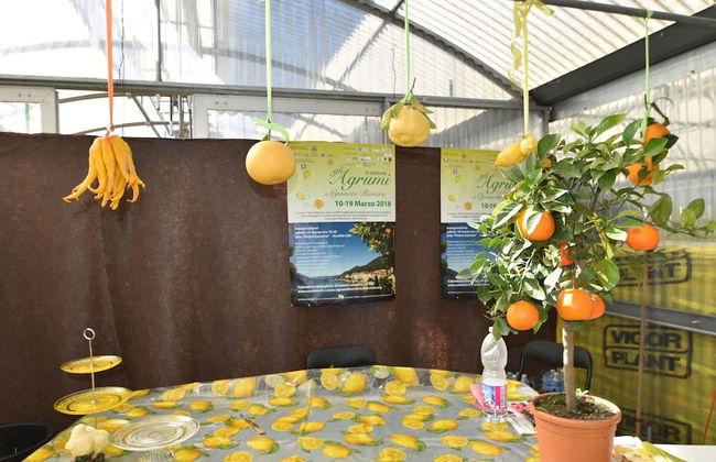 Spacious Retreat in Cannero - Foto 25