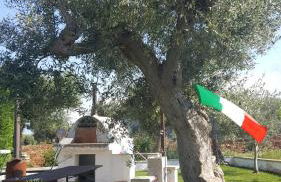 Masseria Cesarina B&B - Foto 28