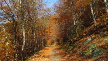 Ferienwohnungen Breternitz - Foto 3