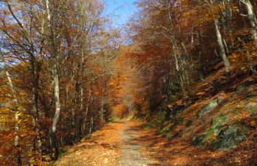 Ferienwohnungen Breternitz - Photo 3